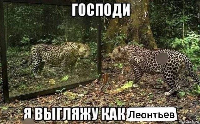 ГОСПОДИ Я ВЫГЛЯЖУ КАК ЛЕОНТЬЕВ