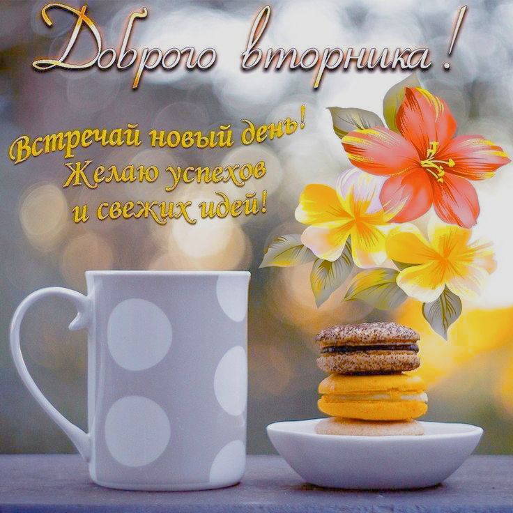 Доброго вторника! Встречай новый день! Желаю успехов и свежих идей!