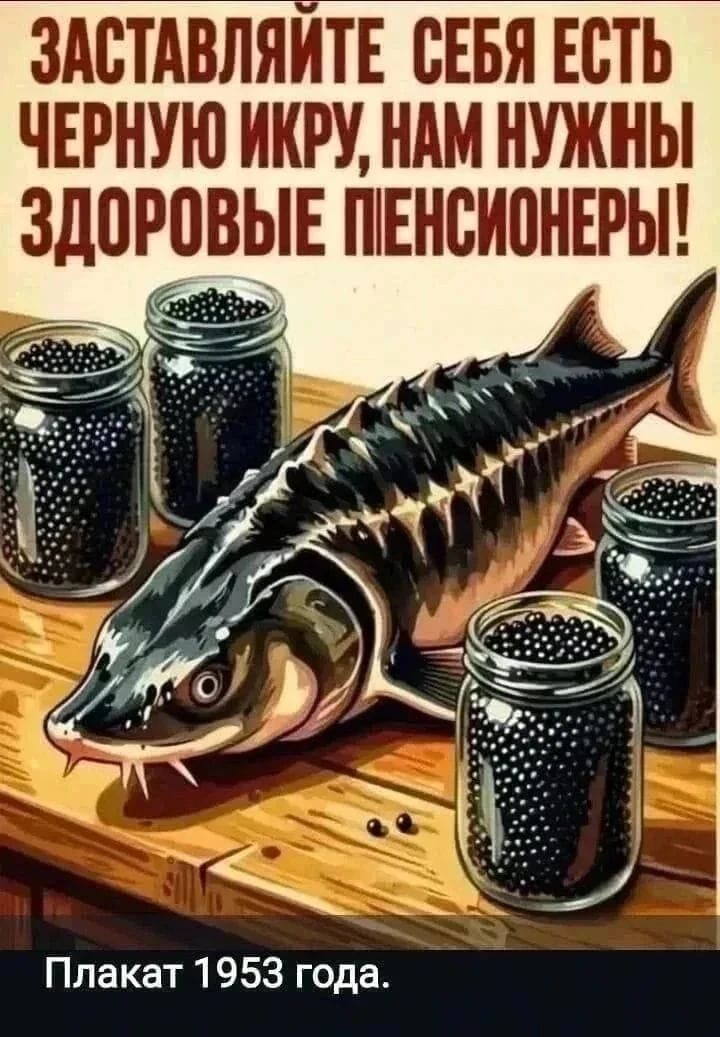ЗАСТАВЛЯЙТЕ СЕБЯ ЕСТЬ ЧЕРНУЮ ИКРУ, НАМ НУЖНЫ ЗДОРОВЫЕ ПЕНСИОНЕРЫ! Плакат 1953 года.