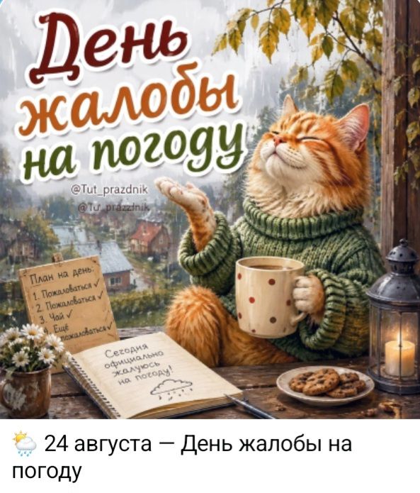 День жалобы на погоду. План на день: 1. Пожаловаться, 2. Пожаловаться, 3. Чай, 4. Ещё пожаловаться. Сегодня официально жалуюсь на погоду!