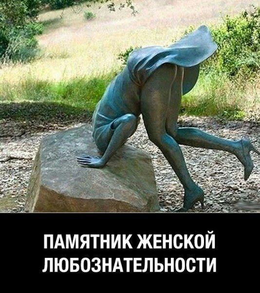 ПАМЯТНИК ЖЕНСКОЙ ЛЮБОЗНАТЕЛЬНОСТИ