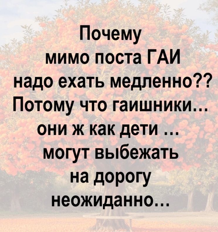 Почему мимо поста ГАИ надо ехать медленно?? Потому что гаишники... они ж как дети ... могут выбежать на дорогу неожиданно...