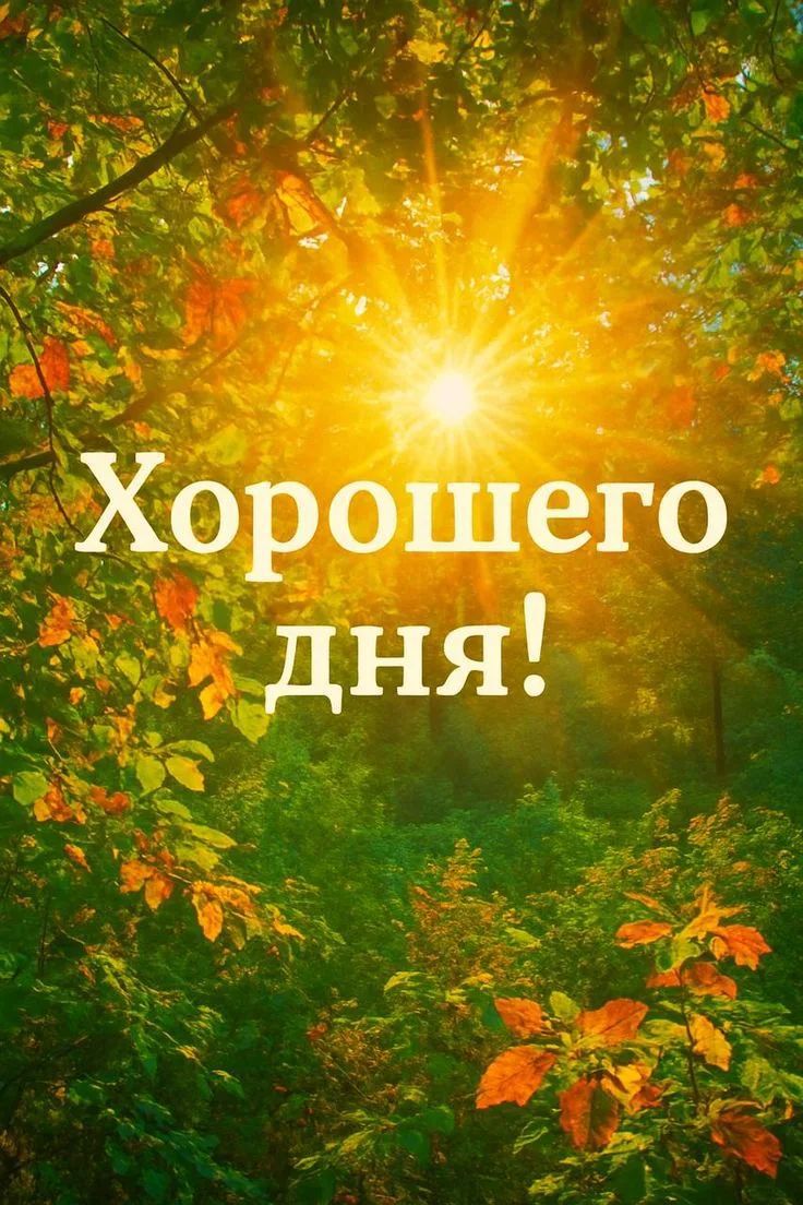 Хорошего дня!