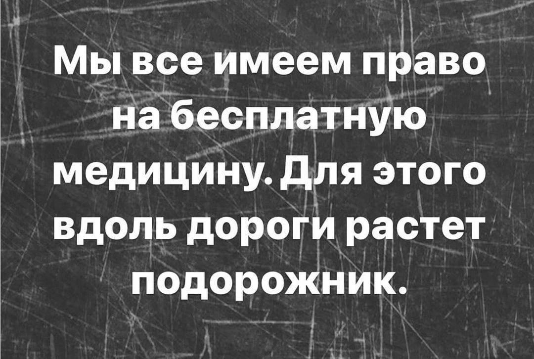 Мы все имеем право на бесплатную медицину. Для этого вдоль дороги растет подорожник.