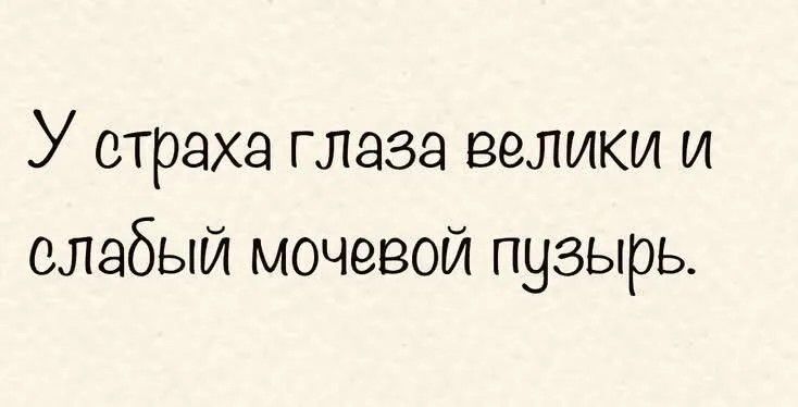 У страха глаза велики и слабый мочевой пузырь.