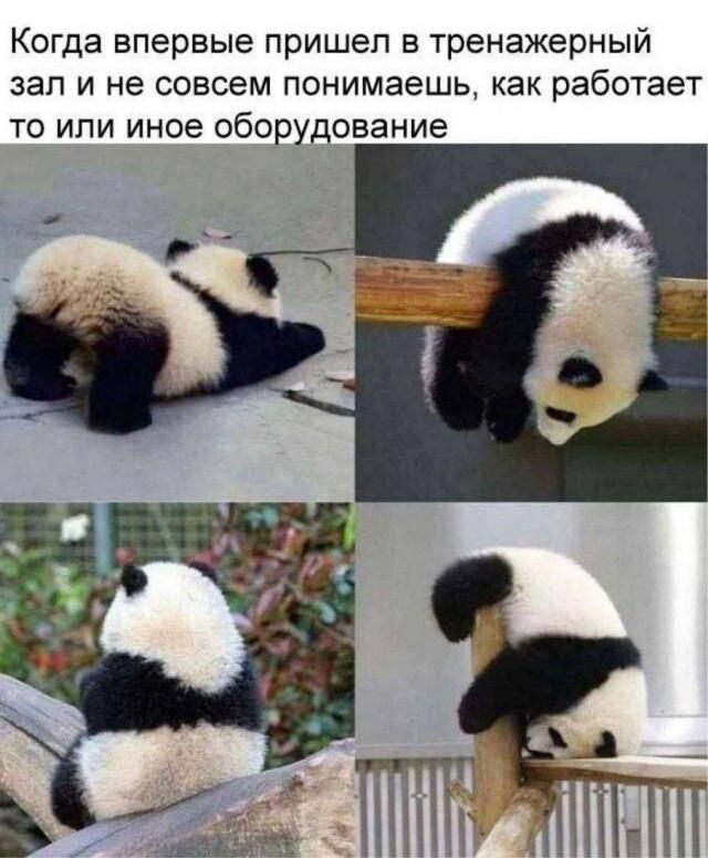 Когда впервые пришел в тренажерный зал и не совсем понимаешь, как работает то или иное оборудование