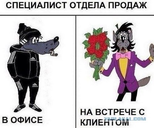 СПЕЦИАЛИСТ ОТДЕЛА ПРОДАЖ В ОФИСЕ НА ВСТРЕЧЕ С КЛИЕНТОМ