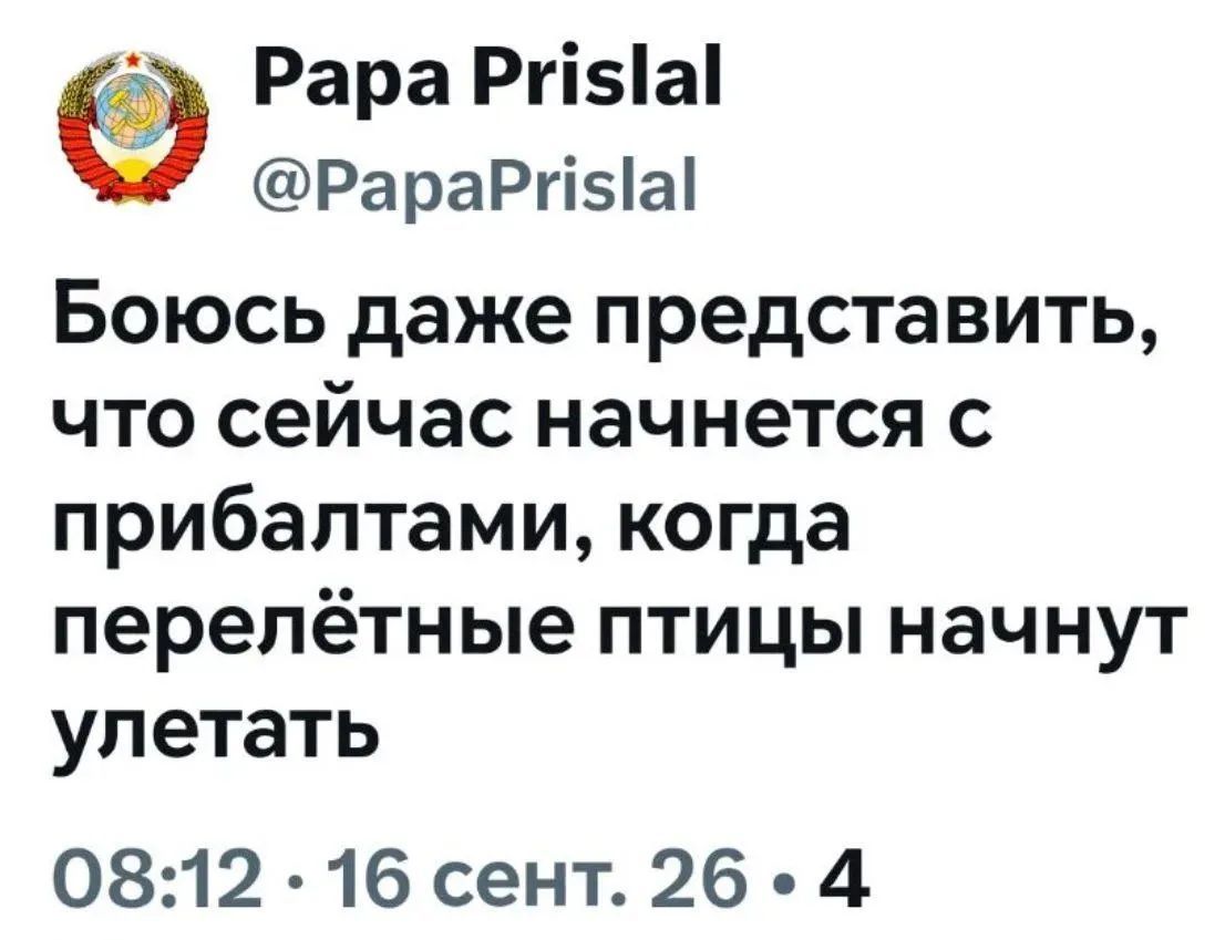 Papa Prislal @PapaPrislal Боюсь даже представить, что сейчас начнется с прибалтами, когда перелётные птицы начнут улетать 08:12 · 16 сент. 26 · 4