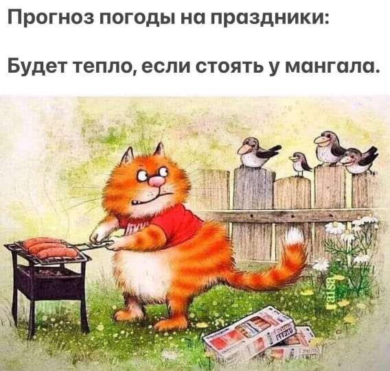 Прогноз погоды на праздники: Будет тепло, если стоять у мангала.