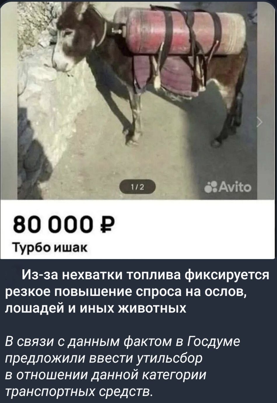80 000 Р Турбо ишак Из-за нехватки топлива фиксируется резкое повышение спроса на ослов, лошадей и иных животных В связи с данным фактом в Госдуме предложили ввести утильсбор в отношении данной категории транспортных средств. Avito 1/2