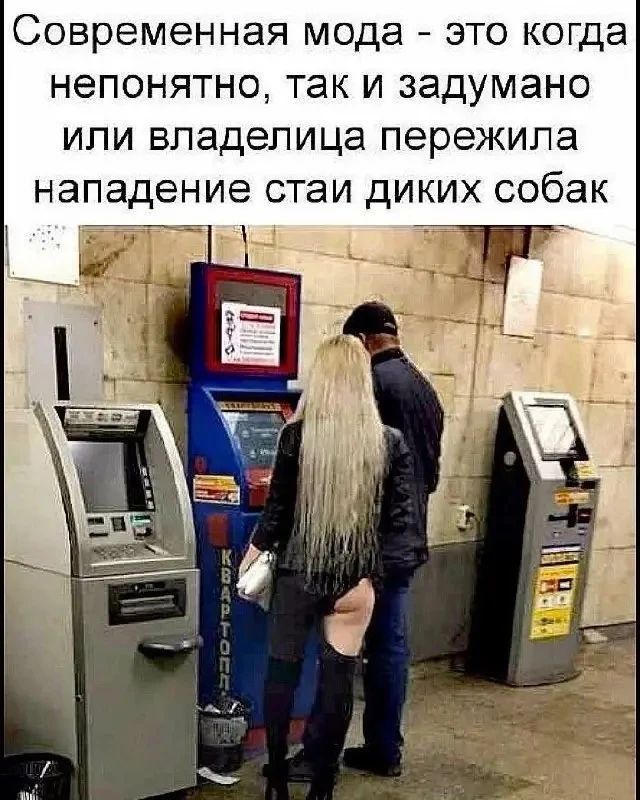 Современная мода - это когда непонятно, так и задумано или владелица пережила нападение стаи диких собак
