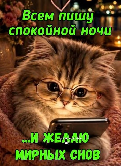 Всем пишу спокойной ночи ...И желаю мирных снов