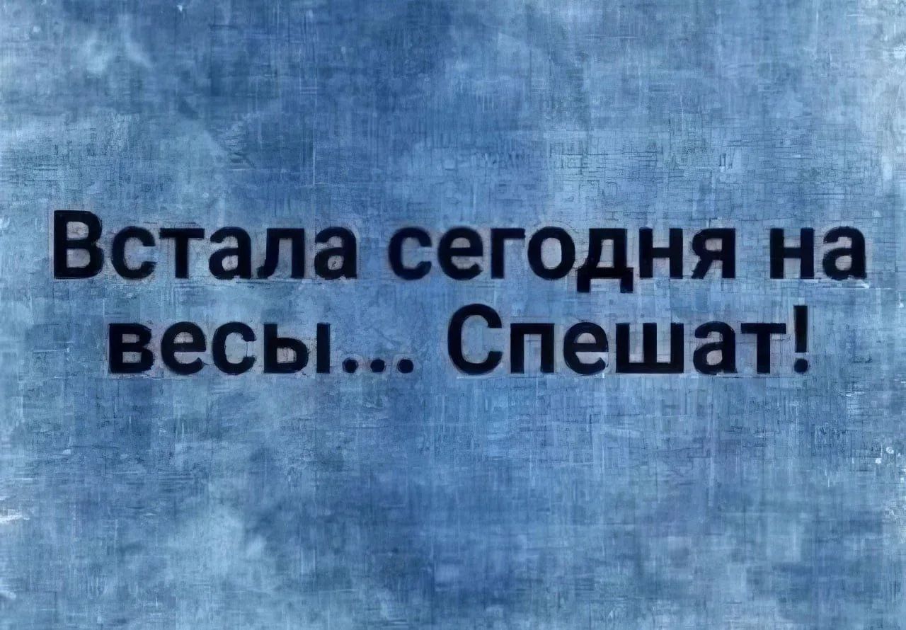 Встала сегодня на весы... Спешат!