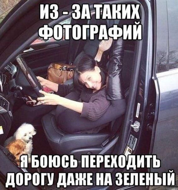 ИЗ-ЗА ТАКИХ ФОТОГРАФИЙ Я БОЮСЬ ПЕРЕХОДИТЬ ДОРОГУ ДАЖЕ НА ЗЕЛЕНЫЙ