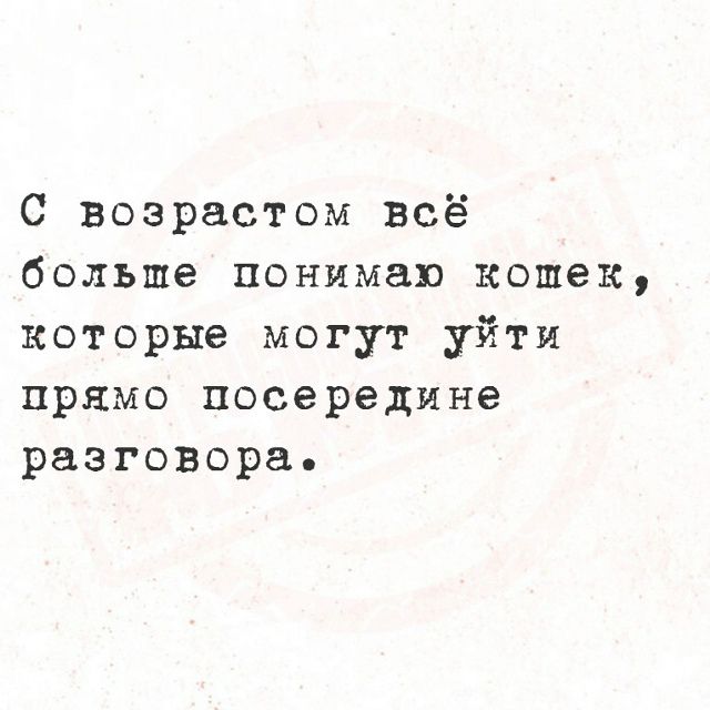 С возрастом всё больше понимаю кошек, которые могут уйти прямо посередине разговора.