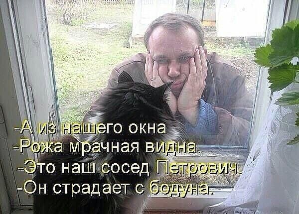 А из нашего окна Рожа мрачная видна. Это наш сосед Петрович. Он страдает с бодуна.