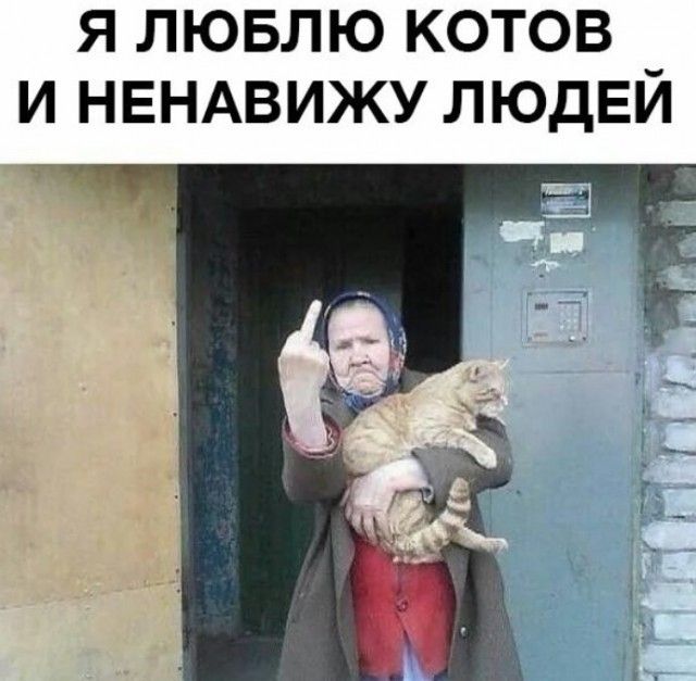 Я ЛЮБЛЮ КОТОВ И НЕНАВИЖУ ЛЮДЕЙ