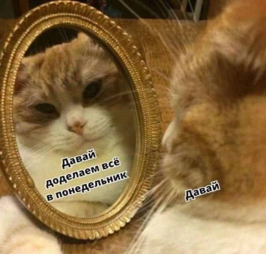 Давай доделаем всё в понедельник. Давай