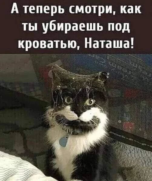А теперь смотри, как ты убираешь под кроватью, Наташа!