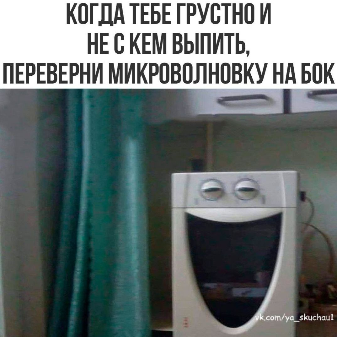 КОГДА ТЕБЕ ГРУСТНО И НЕ С КЕМ ВЫПИТЬ, ПЕРЕВЕРНИ МИКРОВОЛНОВКУ НА БОК