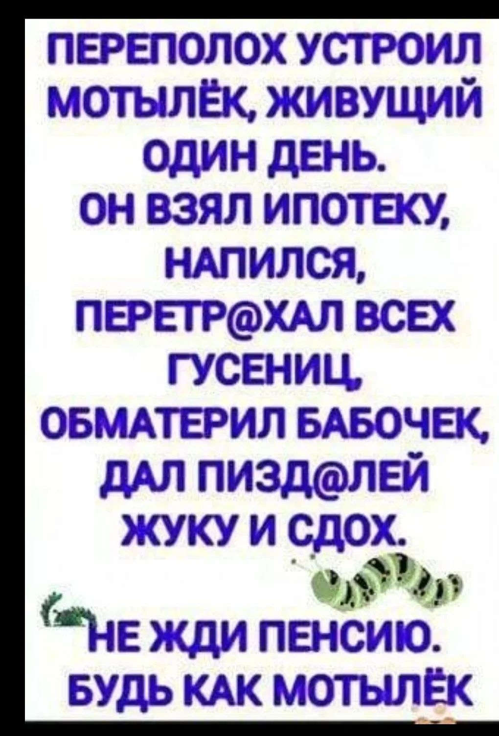 Переполох устроил мотылёк, живущий один день. Он взял ипотеку, напился, перетрахал всех гусениц, обматерил бабочек, дал пиздюлей жуку и сдох. Не жди пенсию. Будь как мотылёк.