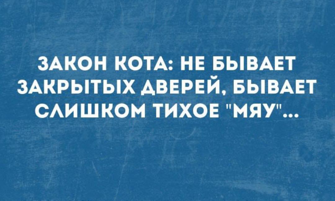 Закон кота: не бывает закрытых дверей, бывает слишком тихое 