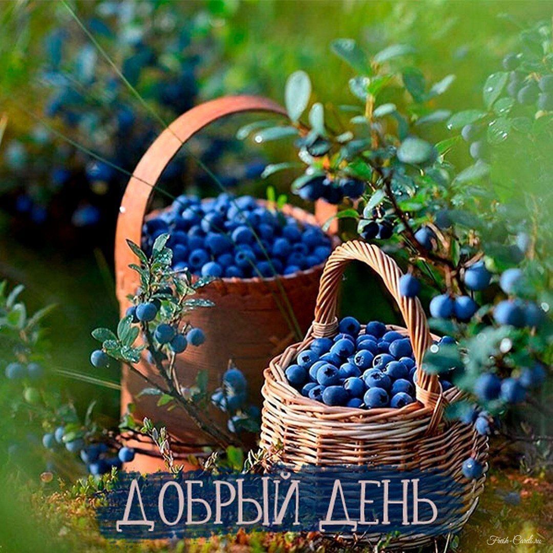 ДОБРЫЙ ДЕНЬ
