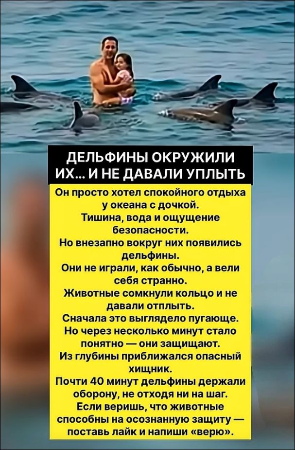 ДЕЛЬФИНЫ ОКРУЖИЛИ ИХ... И НЕ ДАВАЛИ УПЛЫТЬ Он просто хотел спокойного отдыха у океана с дочкой. Тишина, вода и ощущение безопасности. Но внезапно вокруг них появились дельфины. Они не играли, как обычно, а вели себя странно. Животные сомкнули кольцо и не давали отплыть. Сначала это выглядело пугающе. Но через несколько минут стало понятно — они