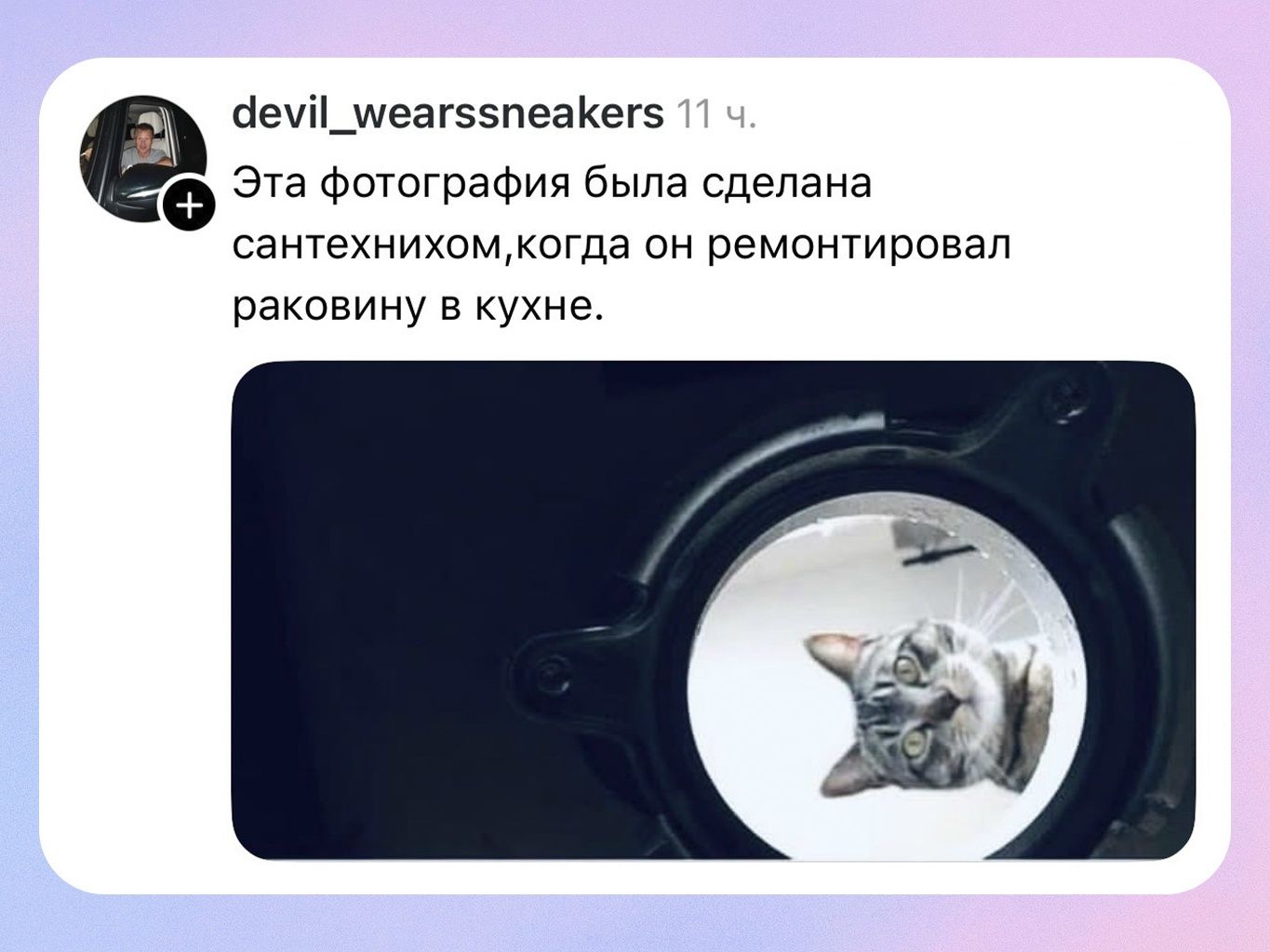 devil_wearssneakers 11 ч. Эта фотография была сделана сантехником, когда он ремонтировал раковину в кухне.