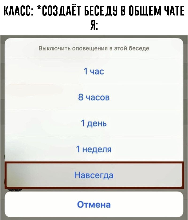 КЛАСС: *СОЗДАЁТ БЕСЕДУ В ОБЩЕМ ЧАТЕ Я: Выключить оповещения в этой беседе 1 час 8 часов 1 день 1 неделя Навсегда Отмена