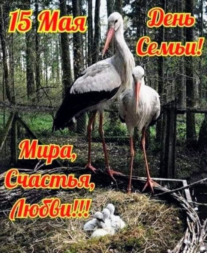 15 Мая День Семьи! Мира, Счастья, Любви!!!