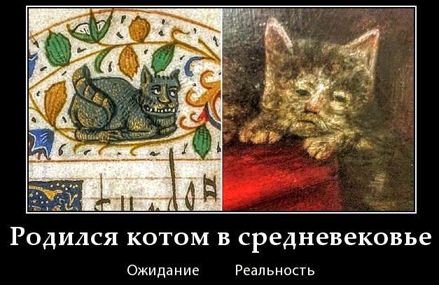 Родился котом в средневековье Ожидание Реальность