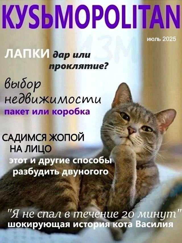 КУЬМОРОPOLITAN июль 2025 ЛАПКИ дар или проклятие? выбор недвижимости пакет или коробка САДИМСЯ ЖОПОЙ НА ЛИЦО этот и другие способы разбудить двуногого 