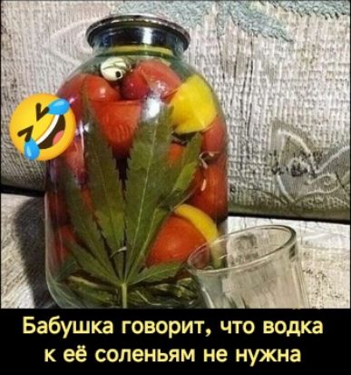 Бабушка говорит, что водка к её соленьям не нужна