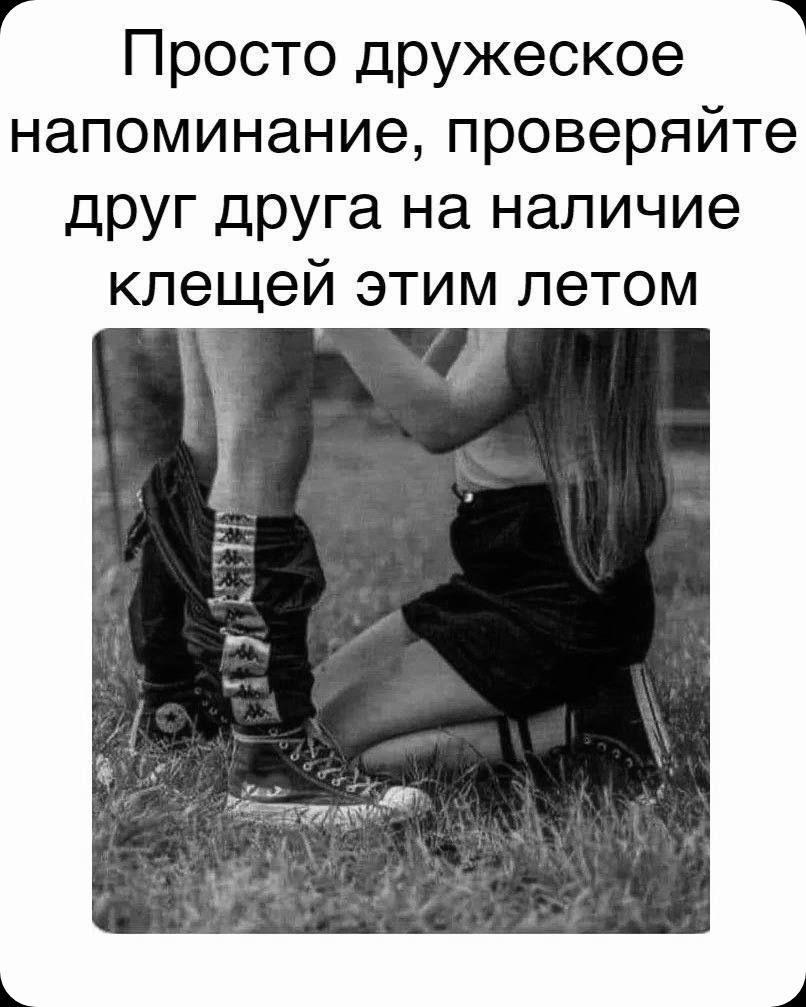 Просто дружеское напоминание, проверяйте друг друга на наличие клещей этим летом