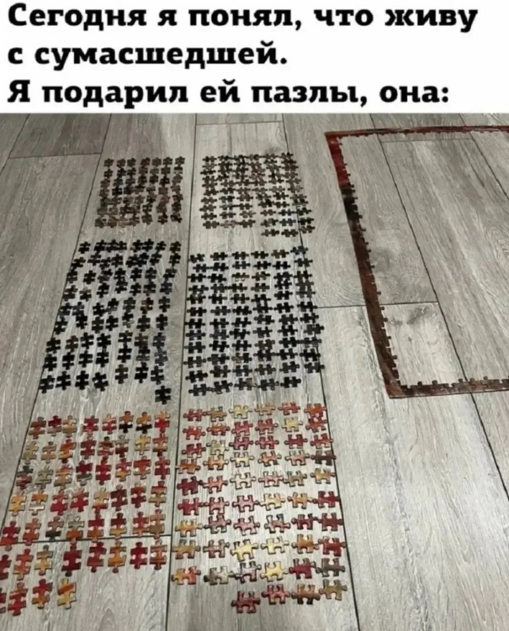 Сегодня я понял, что живу с сумасшедшей. Я подарил ей пазлы, она: