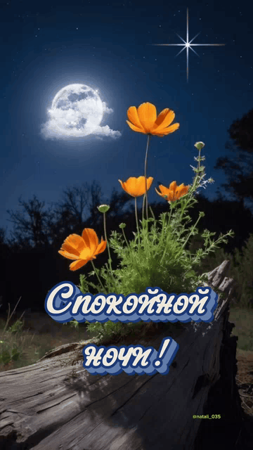 Спокойной ночи!