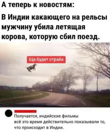 А теперь к новостям: В Индии какающего на рельсы мужчину убила летящая корова, которую сбил поезд. Ща будет страйк. Получается, индийские фильмы всё это время действительно показывали то, что происходит в Индии.