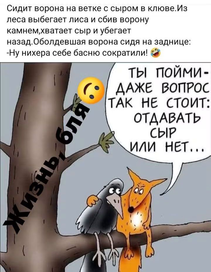 Сидит ворона на ветке с сыром в клюве. Из леса выбегает лиса и сбив ворону камнем, хватает сыр и убегает назад. Оболдевшая ворона сидя на заднице: -Ну нихера себе басню сократили! ТЫ ПОЙМИ - ДАЖЕ ВОПРОС ТАК НЕ СТОИТ: ОТДАВАТЬ СЫР ИЛИ НЕТ... Жизнь, бля