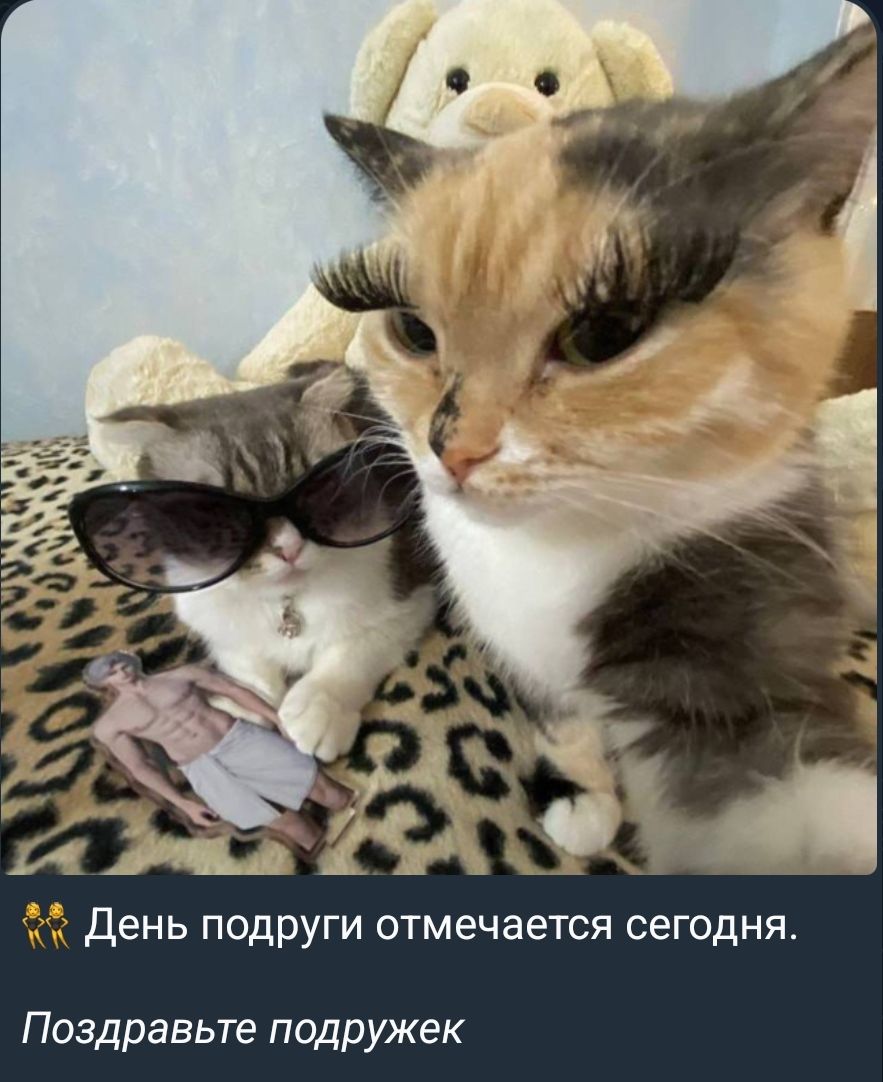 День подруги отмечается сегодня. Поздравьте подружек