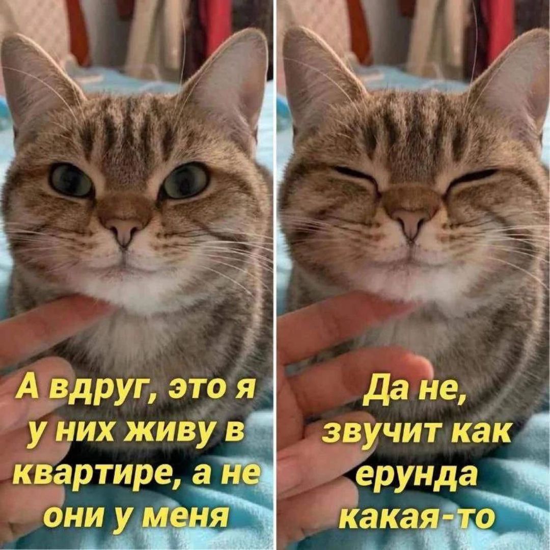 А вдруг, это я у них живу в квартире, а не они у меня. Да не, звучит как ерунда какая-то