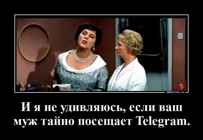 И я не удивляюсь, если ваш муж тайно посещает Telegram.
