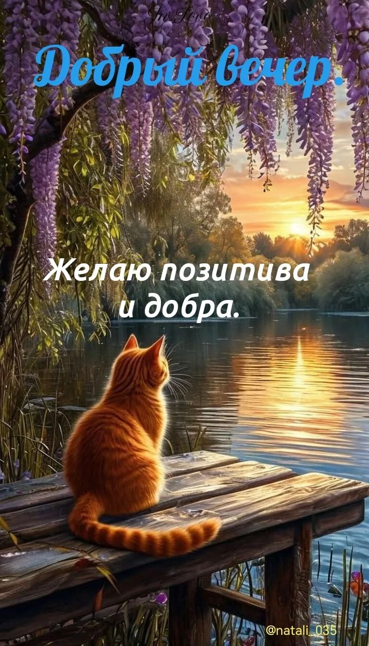 Добрый вечер. Желаю позитива и добра.