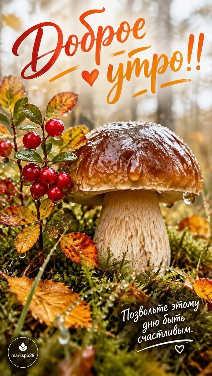 Доброе утро!! Позвольте этому дню быть счастливым.