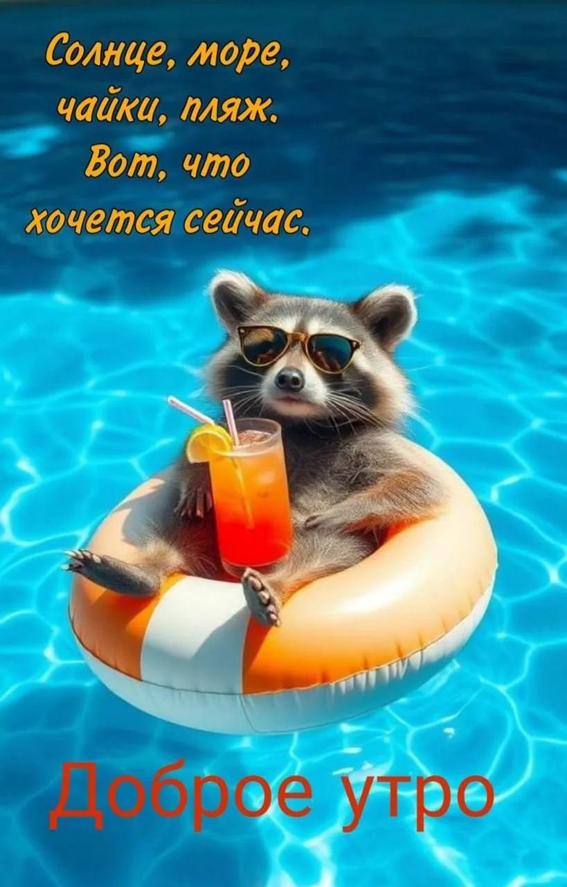 Солнце, море, чайки, пляж. Вот, что хочется сейчас. Доброе утро