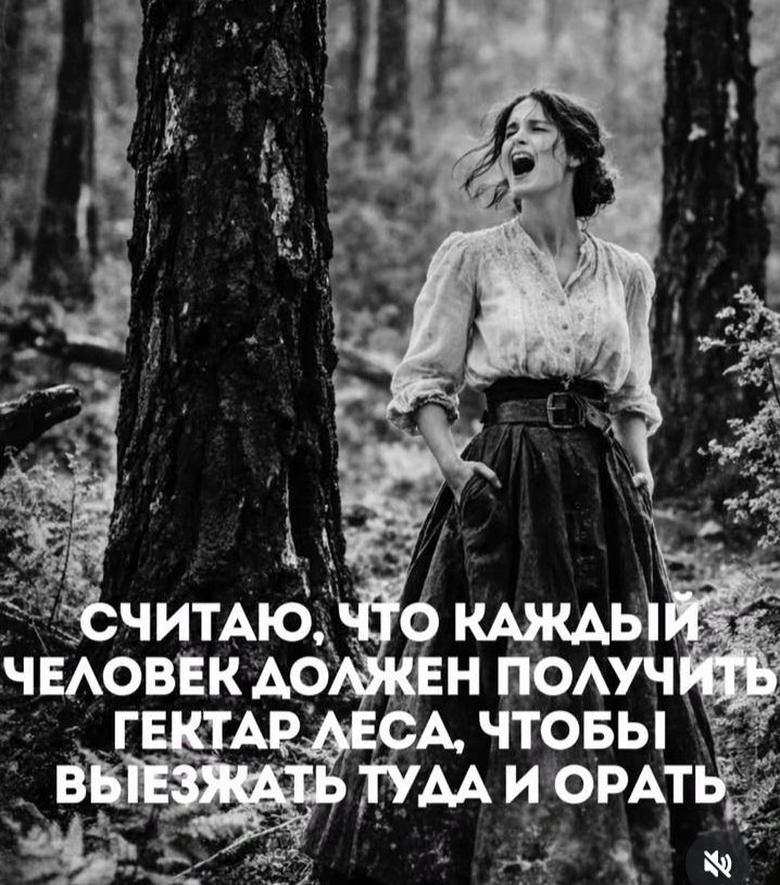 Считаю, что каждый человек должен получить гектар леса, чтобы выезжать туда и орать