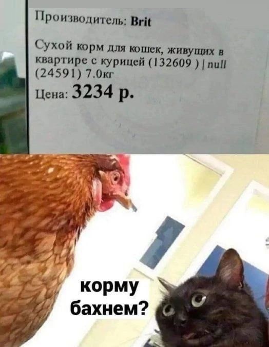 Производитель: Brit Сухой корм для кошек, живущих в квартире с курицей (132609) | null (24591) 7.0кг Цена: 3234 р. корму бахнем?