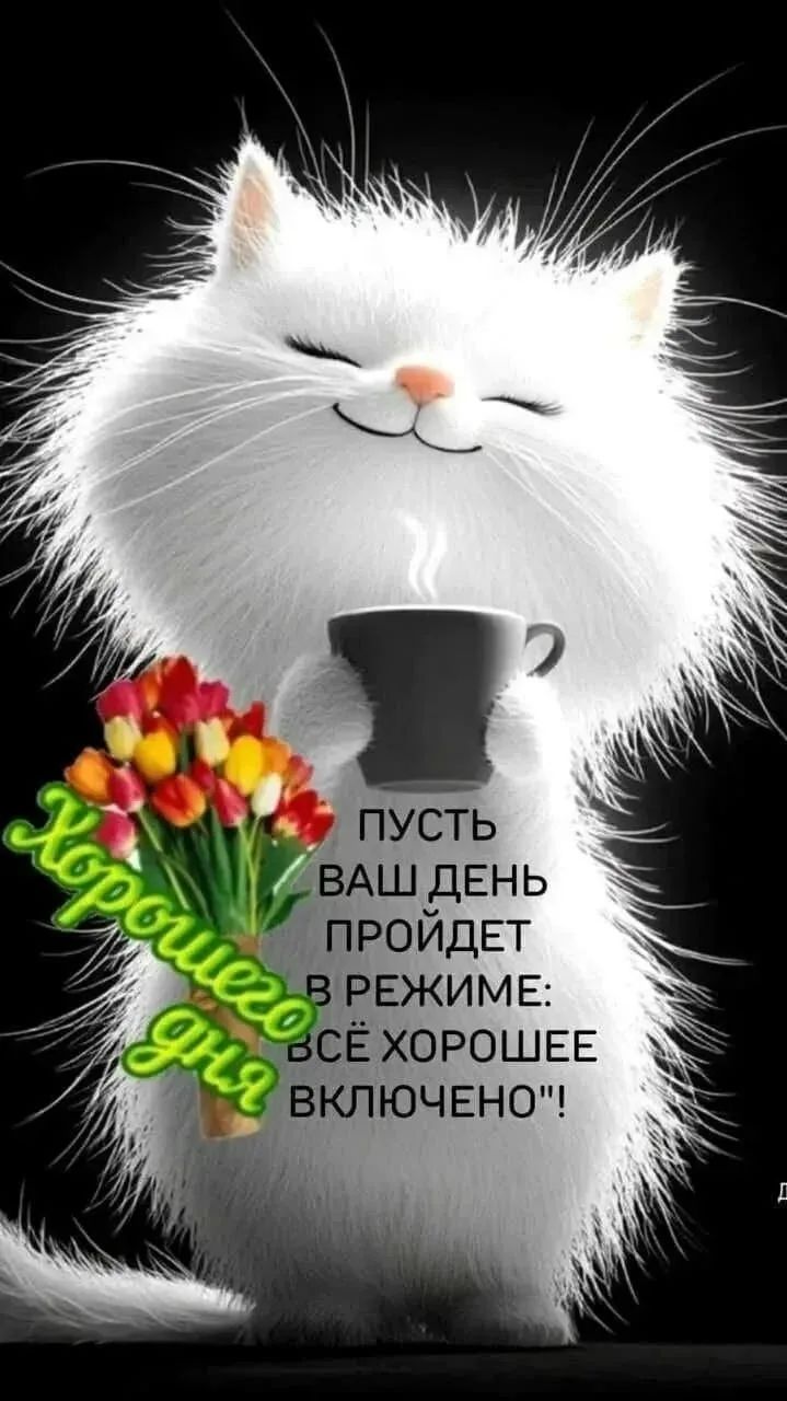 Хорошего дня! Пусть ваш день пройдет в режиме: всё хорошее включено!