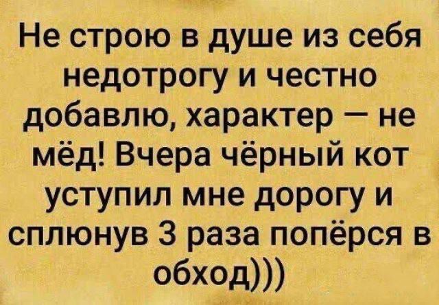 Не строю в душе из себя недотрогу и честно добавлю, характер — не мёд! Вчера чёрный кот уступил мне дорогу и сплюнув 3 раза попёрся в обход)))