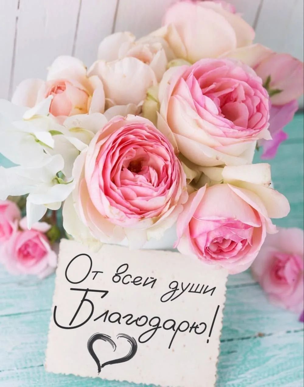 От всей души Благодарю!